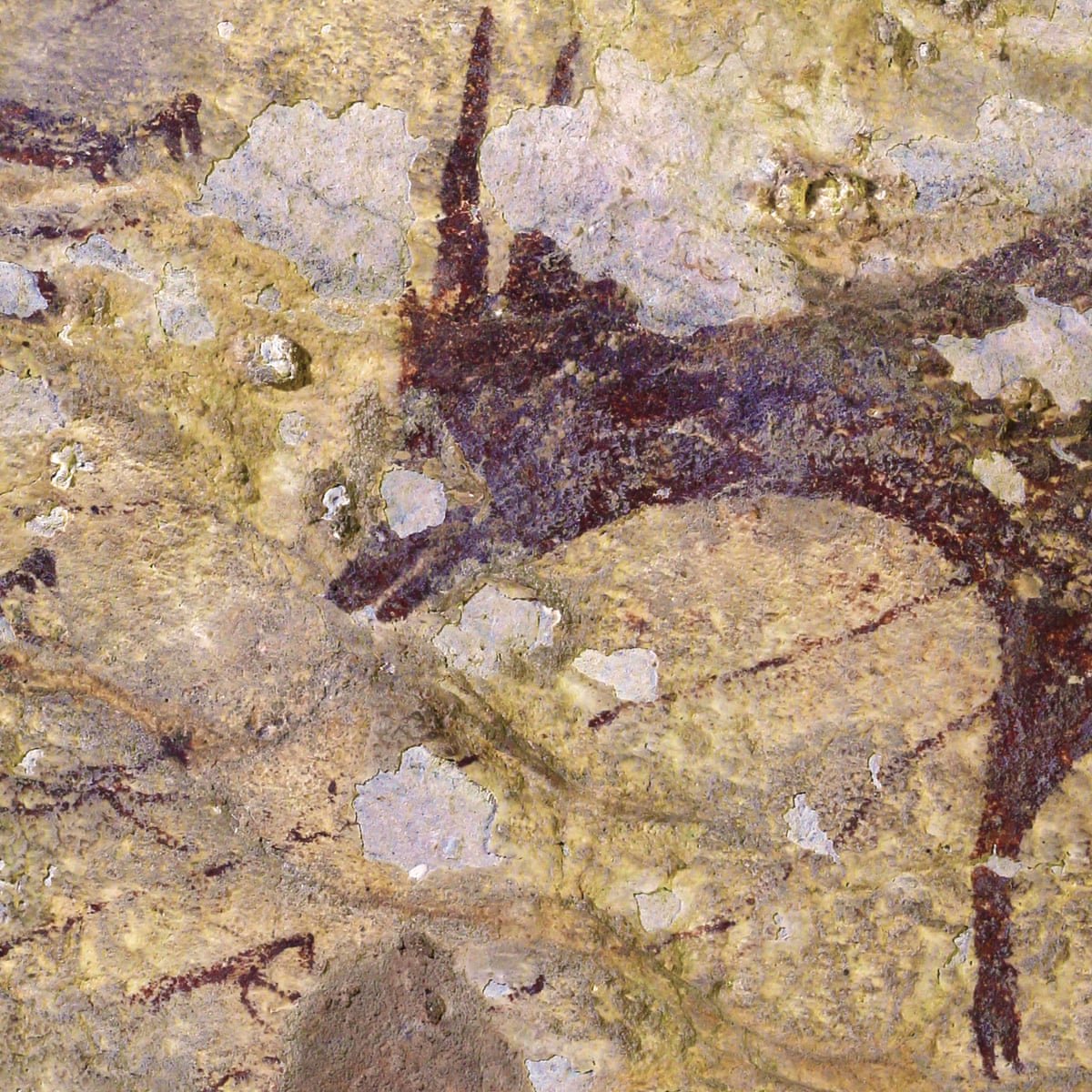 Earliest Known Cave Art By Modern Humans Found In Indonesia