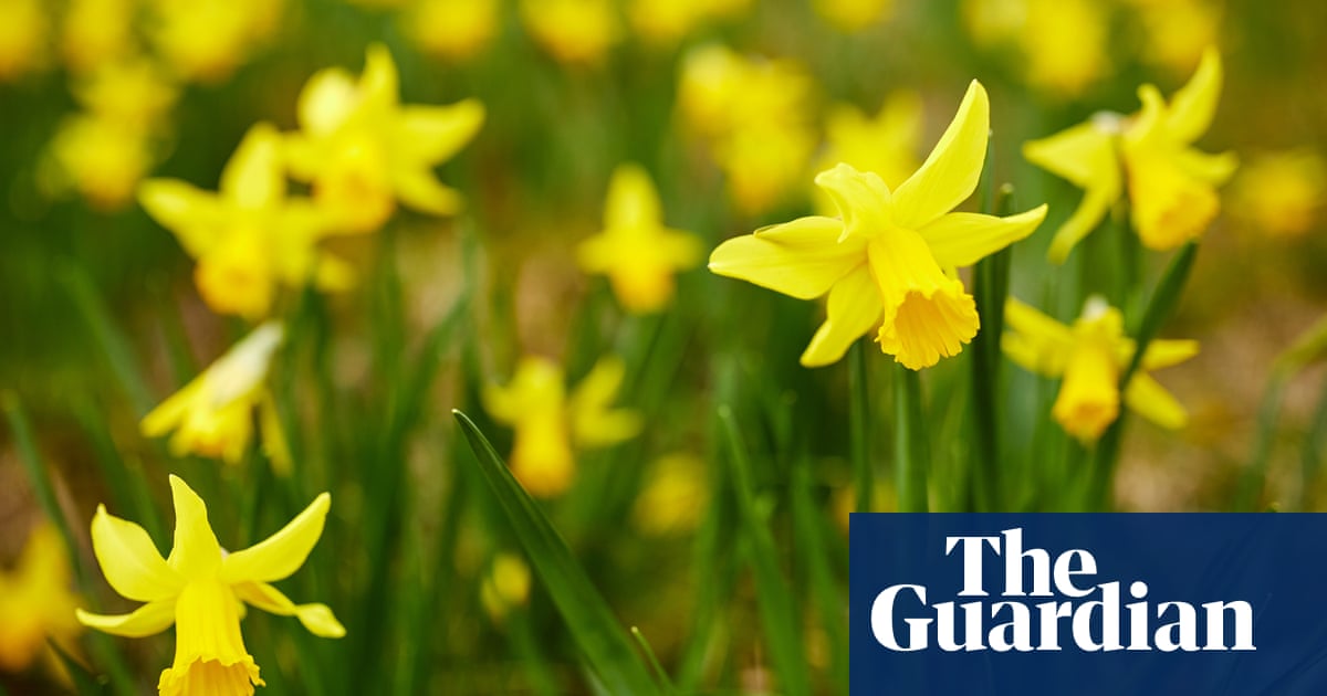 uk weather spring comes