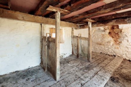 A stall for livestock inside the barn