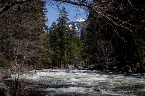 A river churns through a heavily wooded area with a view of a snow-capped mountain in the background.