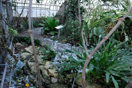 Damage to one of the glasshouses after a storm.