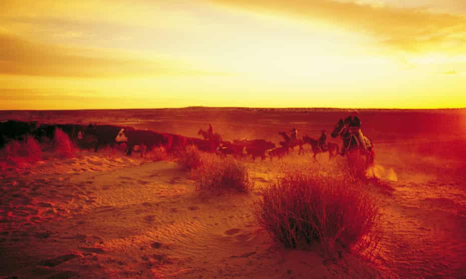 cattle ranch Australia
