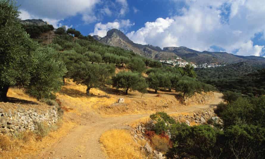 Hills and olive groves in south-west Crete.