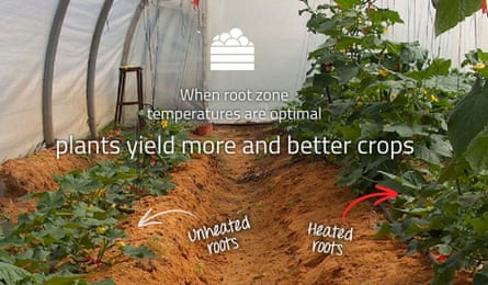 Roots Sustainable Agriculture Technologies