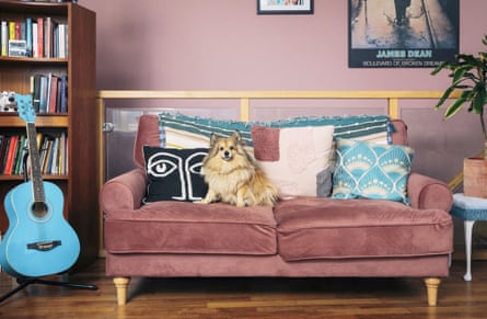 Ted sitting on a sofa