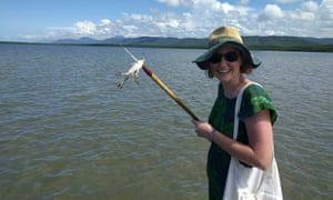 The author spears a blue swimmer crab