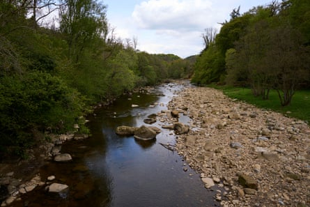 A river with a large bank of sand and gravel in the middle