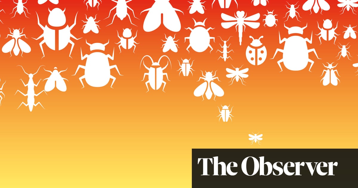 Why the climate crisis is making our insects run for the hills