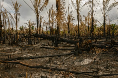 The quilombo community of Santana do Aldroada, Maranhão, Brazil.