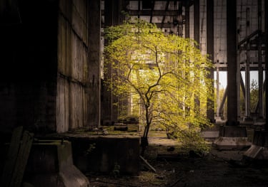 Halfdan Hallseth, Monument Chernobyl Series, 2019, Eco 26 Fringe