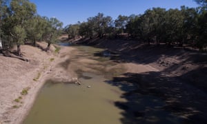 There are growing calls for a royal commission into controversial Murray-Darling River water buybacks