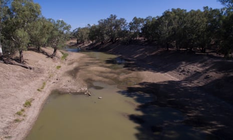 There are growing calls for a royal commission into controversial Murray-Darling River water buybacks