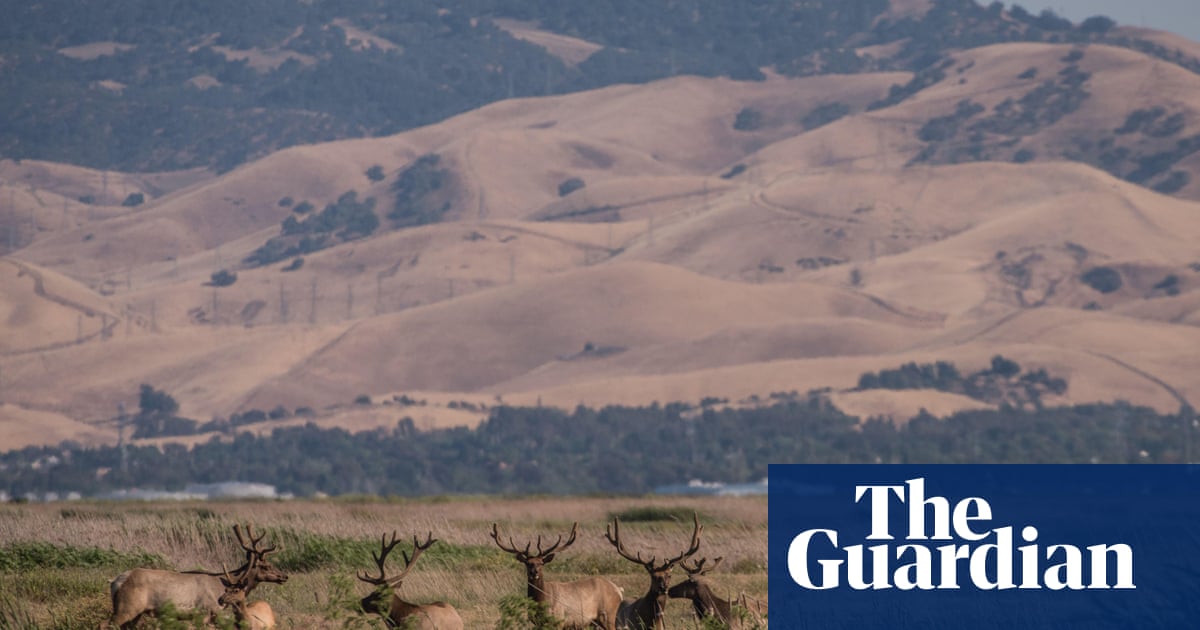 Silicon Valley elites revealed as buyers of $800m of land to build utopian city – The Guardian US