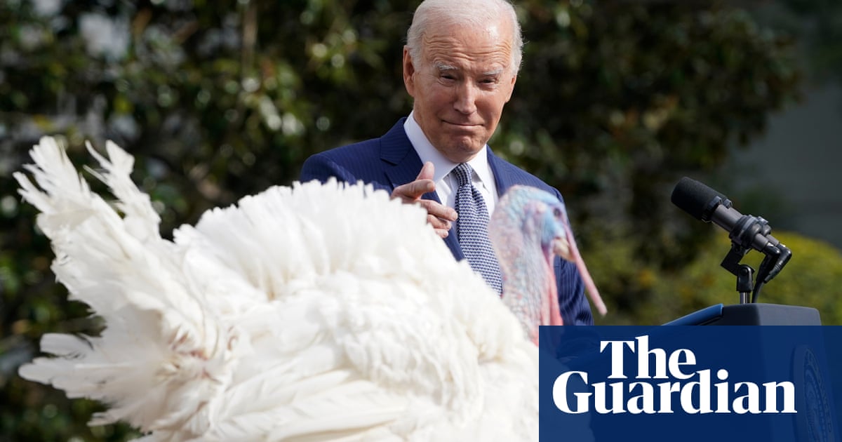 ‘Congratulations, birds’: Biden jokes fall flat as he pardons Thanksgiving turkeys