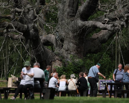 People sitting at picnic benches in front of an ancient tree