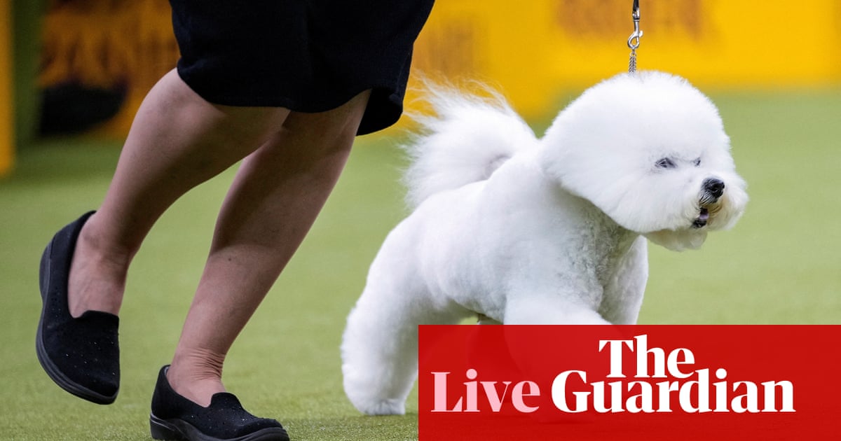 Westminster Dog Show 2025: The schedule, judges, group winners and best in show results — live updates | Westminster Dog Show Westminster Dog Show 2025: The schedule, judges, group winners and best in show results — live updates | Westminster Dog Show