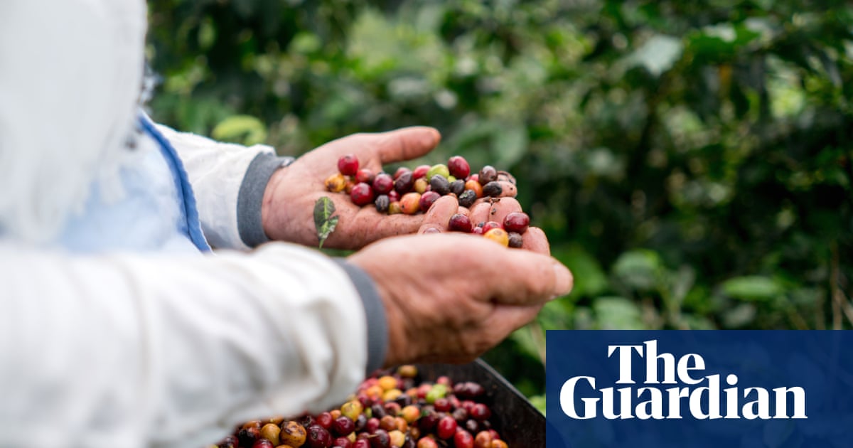 UK scientists turn coffee industry waste into electricity