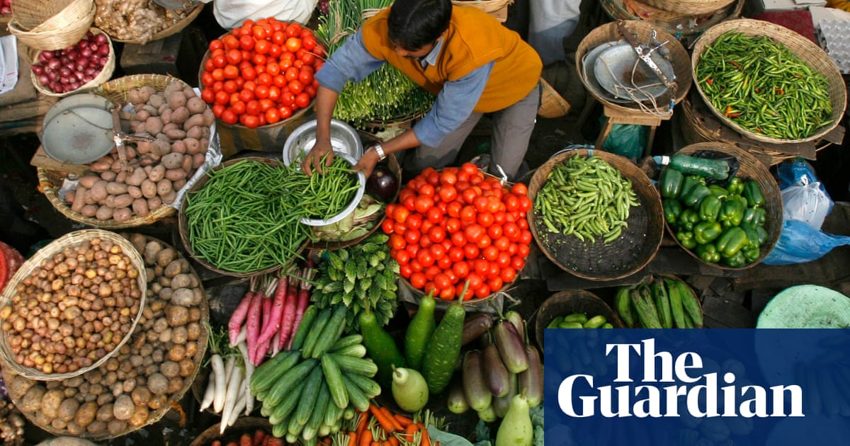 'Mind-boggling variety': the food crusaders preserving India's heritage