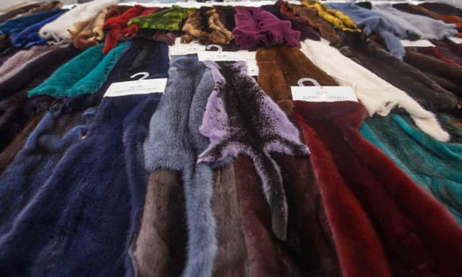 Uk Considering Outright Ban On Fur S After Brexit The Guardian Outright Ban On Fur S After Brexit, Are Mink Coats Illegal