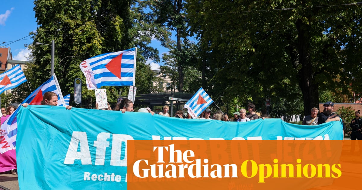 The shadow of the AfD hangs over German democracy – but I still have faith in my adopted country | John Kampfner