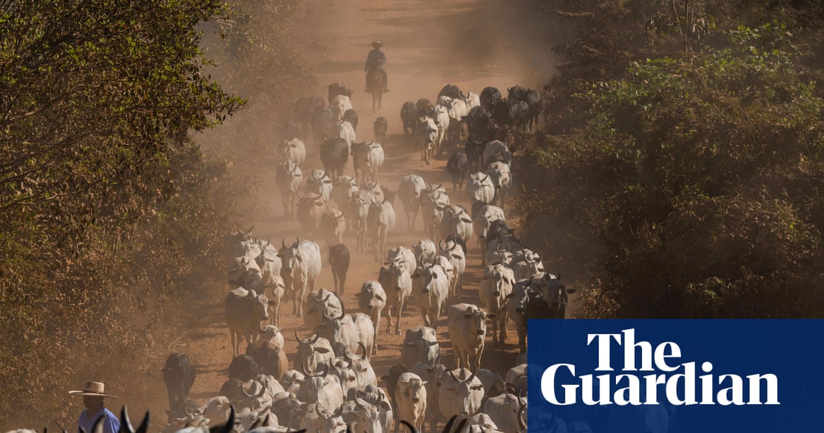 UK urged to ban imports of Brazilian meat over health concerns