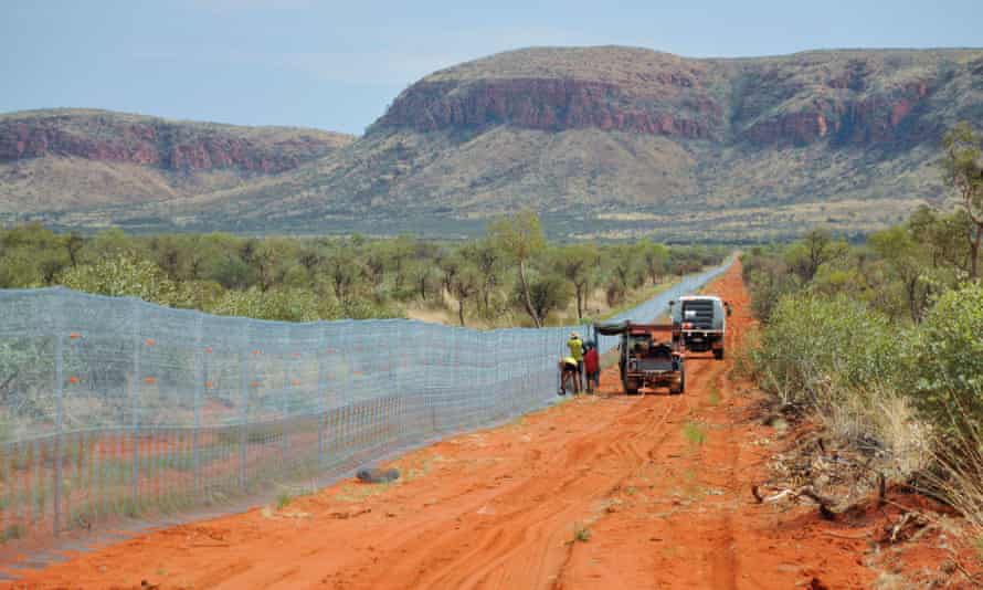 Construction underway on the 44km fence.