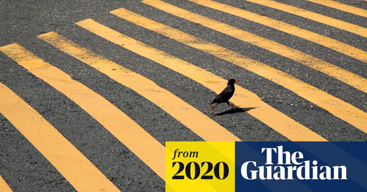 www.theguardian.com