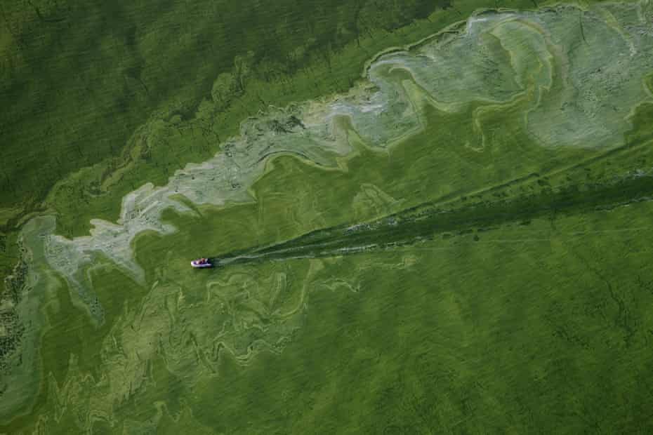 Boats cut through an algae bloom on Lake Erie near Toledo, Ohio.
