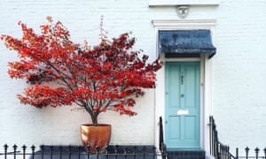 Front Doors The Key Looks Life And Style The Guardian