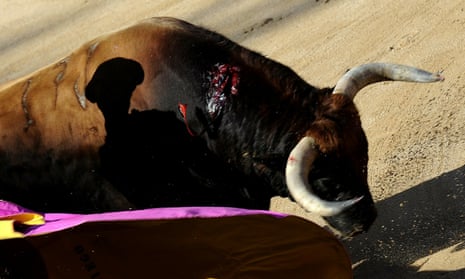 Pacma was founded 16 years ago to put an end to bullfighting