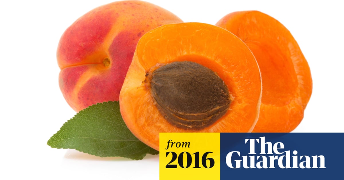 Apricot Kernels Could Be Hidden Health Hazard Food The Guardian