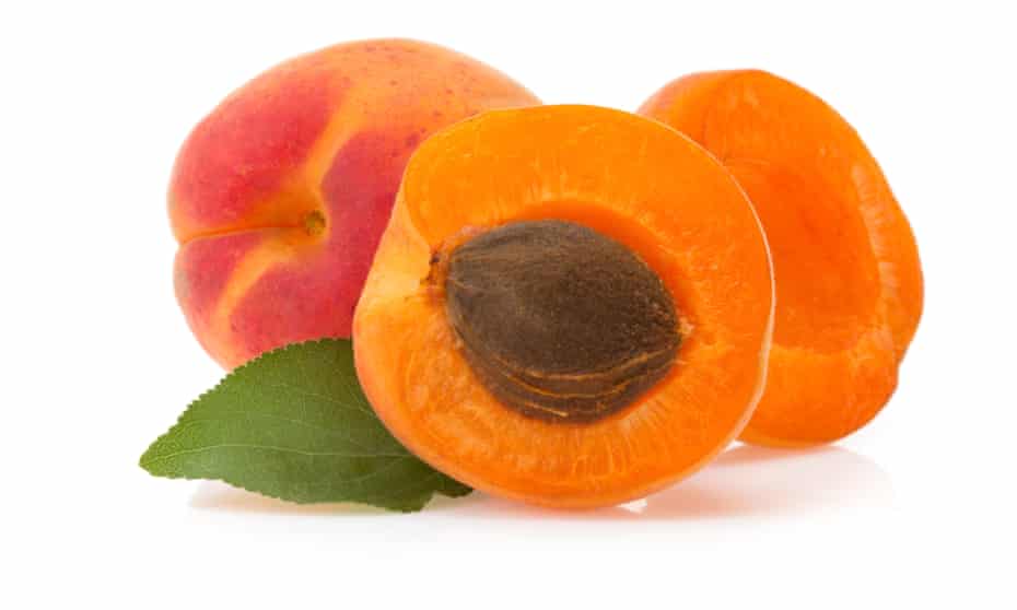 Apricot Kernels Could Be Hidden Health Hazard Food The Guardian Apricot Kernels Could Be Hidden Health Hazard Food The Guardian