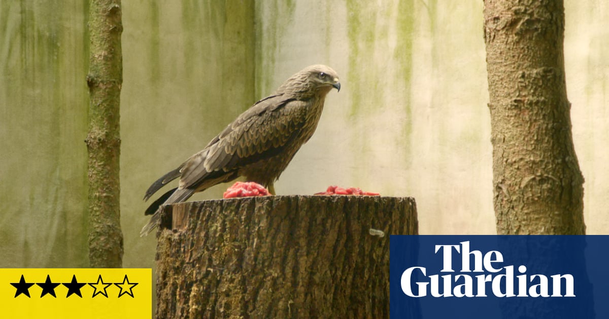 Bird Island review – strange goings-on at a Swiss avian sanctuary