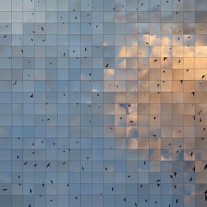 Swallows against the blue sky (with golden cloud) are reflected like tiny black shards in a wall of mirrored squares, presumably a skyscraper