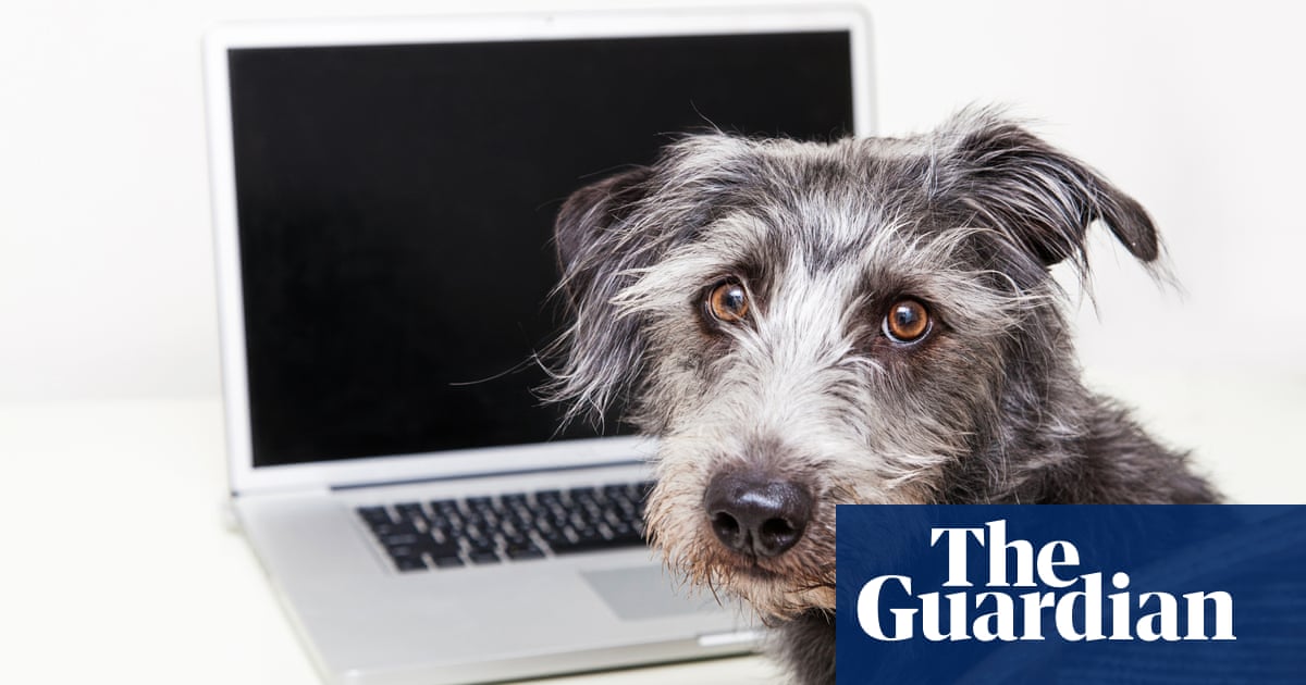 Karl Ove Knausgaard is wrong – writers should own dogs
