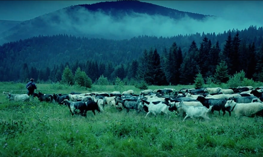 Screengrab of a green landscape and herd of goats, a publicity screengrab from the documentary Life in a Day.
