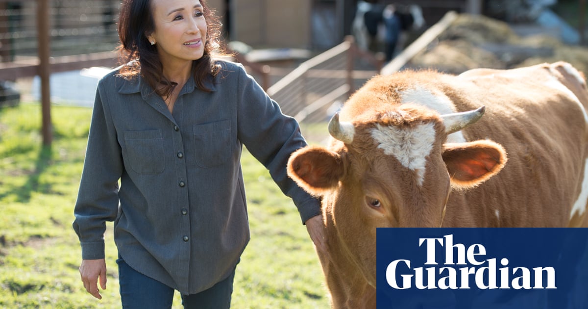 The ‘queen of vegan cheese’ wants to change the dairy industry