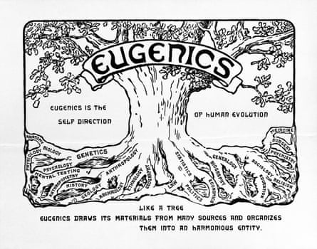 The ‘eugenics tree’, commissioned for the 1921 Second International Congress of Eugenics, held in New York.