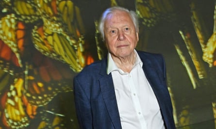 Sir David Attenborough attends the launch of Planet Earth III on October 12 in London.