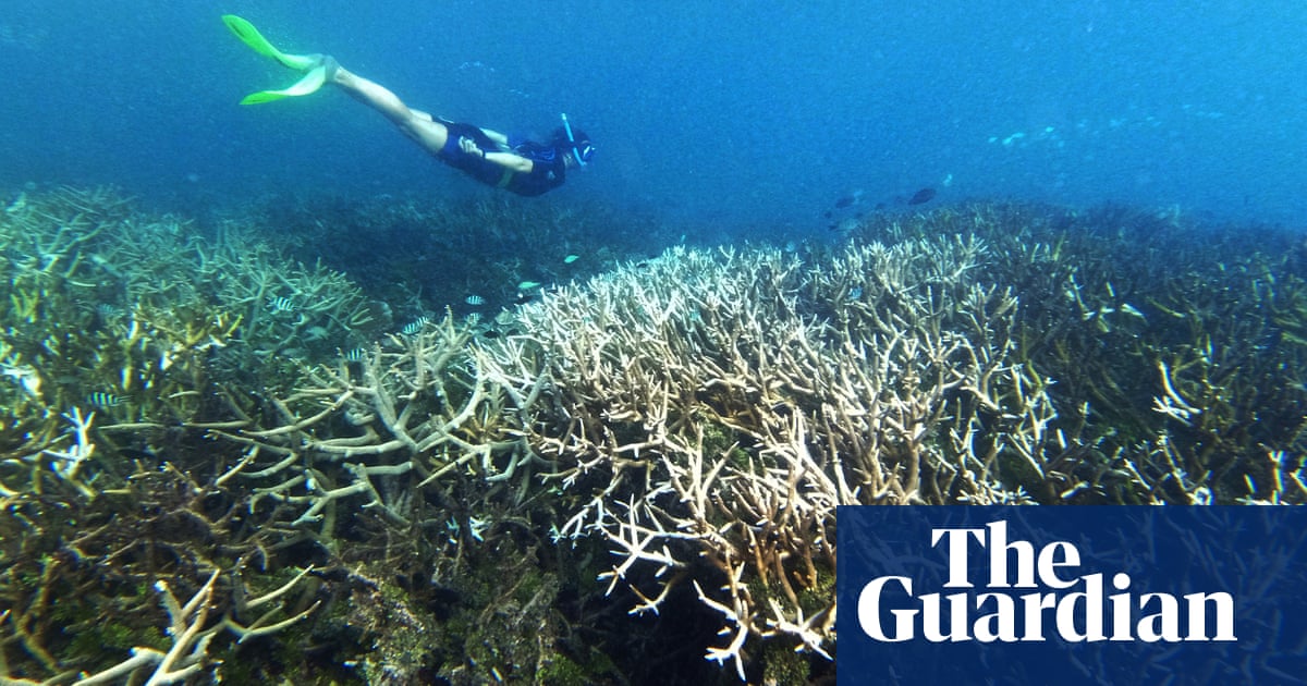 Climate crisis has tripled length of deadly ocean heatwaves, study finds