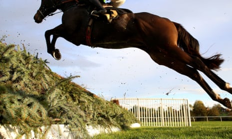 A horse in action at Aintree racecourse.
