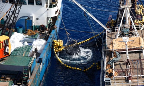 The Pacific supplies about 60 percent of the world’s tuna, an economic mainstay for some small island nations, but the Forum Fisheries Agency study is the first attempt to quantify the impact of banned activities. 