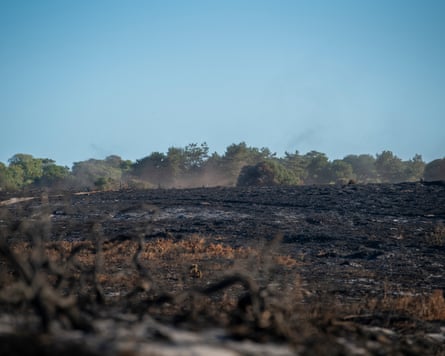Dunwich Heath on Saturday, after the fire was put out.