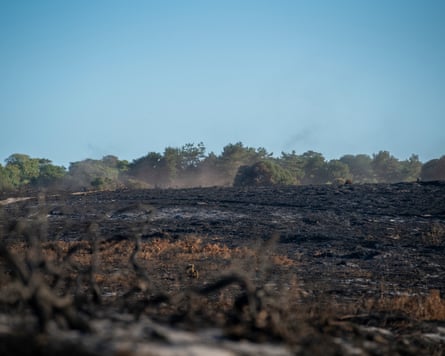 A scorched Dunwich Heath this week