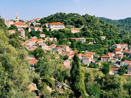 A small town on a wooded hillside