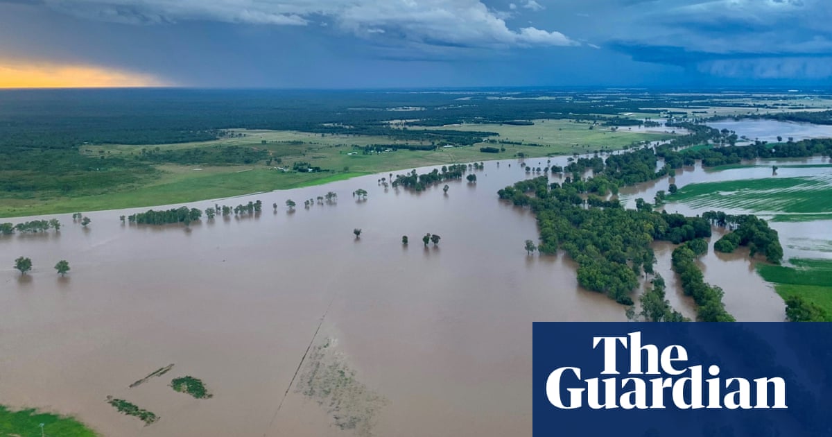 NSW has wettest and coolest November in 121 years of records - The Guardian