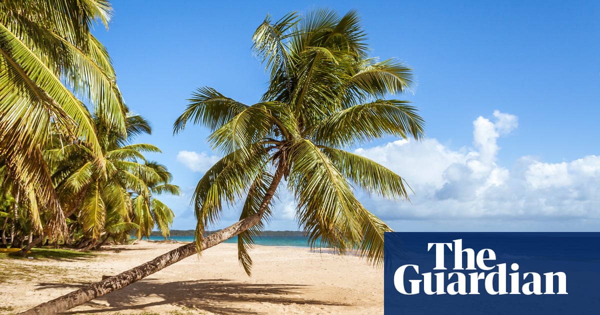 Madagascar: minister swims 12 hours to safety after helicopter crash – The Guardian
