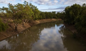 The Darling Barka river after the arrival of a flow of water from upstream in February 2020