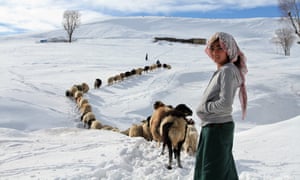 A Shepherdess walks with her flock after snowfall on a winter’s day in Mus, Turkey