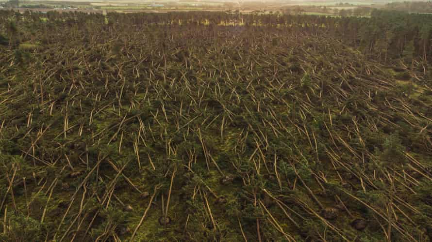 An aerial photograph reveals the devastation wreaked by Storm Arwen at John Muir country park in Dunbar, East Lothian.